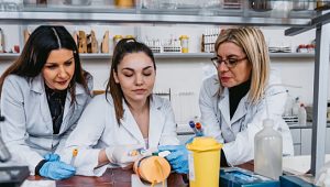 faculdade de medicina de mato grosso