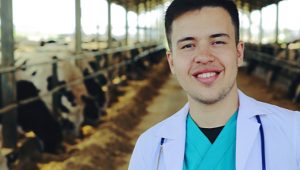 medicina veterinária ou agronomia